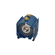 CL1635 LAMP AND MODULE