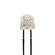 XLM2ACY169W