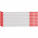 SCN10-I-CAP