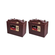 WW-ZF03-6-I20NBT-OB 24 VOLTS 2 PACK