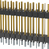 DW-25-10-F-D-500