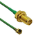 CB1.32D-IPX-SARF3GT-4IN