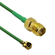 CB1.32D-IPX-SAFGT-4IN