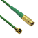 CB1.32D-IPX-MCFGT-4IN