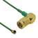 CB1.32D-IPX-SALMGT-4IN