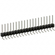 PEC19SGAN