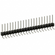 PEC20SGAN