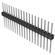 PEC19SFDN