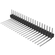 PEC20SBEN