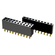 SSHQ-117-T-02-G-LF