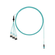 Product image for FXTRP8NUHSNF021 by Panduit Corporation