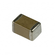 VJ0402A560KXAPW1BC