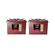 PAS20DX 24 VOLTS 2 PACK