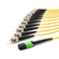 MTF-GS9E2YP001M2C