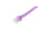PN-F6U-12-SN-28-LP