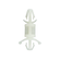 CBDLS615A
