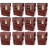 L16G-AC-12-PACK