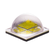 XHP70A-01-0000-0D00N40E2