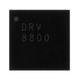 DRV8800RTYR