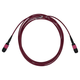 C50-8120-30FT