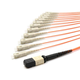 MTF-LD6E20P001M2C
